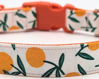 Clementine Orange Dog Collar / Citrus Fruit Tangerine Tree Floral