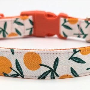 May include: A dog collar with a white fabric featuring a pattern of orange fruit and green leaves. The collar has an orange nylon backing and a matching orange plastic buckle. The collar is designed for pets.