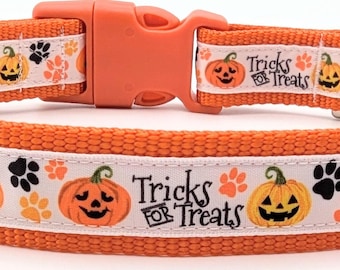 Tricks for Treats Dog Collar / Halloween Trick or Treat