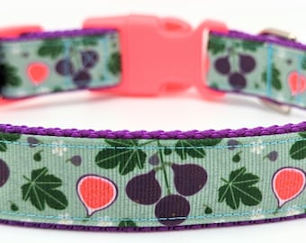 Fig Dog Collar / Fruit Food Ficus Tree