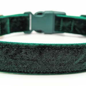 Evergreen Velvet Dog Collar / Christmas Velvet Dog Collar