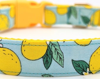 Lemon Tree Dog Collar / Citrus Fruit Lemonade Floral