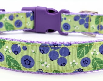 Blueberry Dog Collar / Blueberries Berry Fruit Food