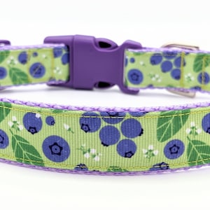 Blueberry Dog Collar / Blueberries Berry Fruit Food image 1