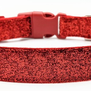 Op de afbeelding: Een rode halsband voor huisdieren met een glinsterende textuur op de buitenkant. De halsband is voorzien van een bijpassende rode plastic gesp, een metalen ring voor de riem en een klein wit stoffen label met blauwe tekst.