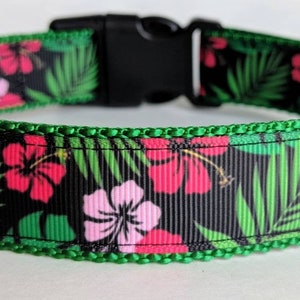 Hawaiian Shirt Dog Collar / Floral Dog Collar / Summer Dog Collar / Beach Dog Collar image 1