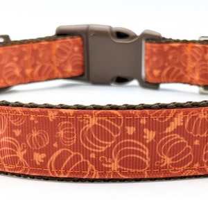 Pumpkin Patch Dog Collar / Fall Dog Collar / Halloween Dog Collar image 1