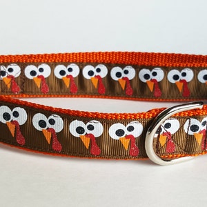 Gobbles the Turkey Dog Collar / Thanksgiving Dog Collar / Fall Dog Collar image 5