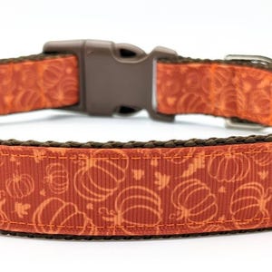 Pumpkin Patch Dog Collar: Fall Halloween Ribbon Collar