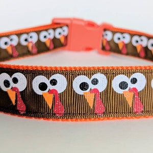 Gobbles the Turkey Dog Collar / Thanksgiving Dog Collar / Fall Dog Collar image 1