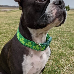 Shamrock Dog Collar / Lucky Irish Clover St. Patrick's Day Dog Collar image 3
