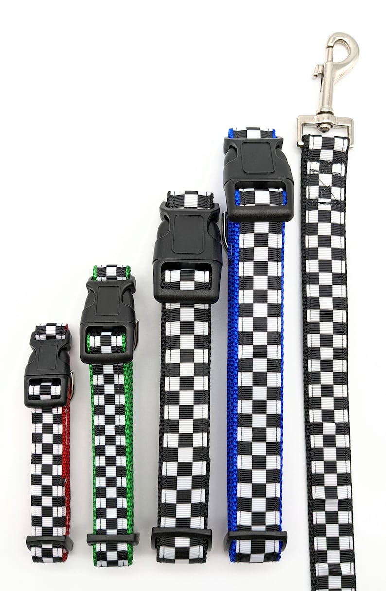 Checkered Flag Dog Collar / Racing / Race Car image 2