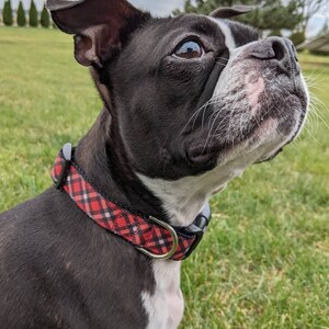 Red Black Tartan Plaid Dog Collar / Christmas Winter Dog Collar image 3