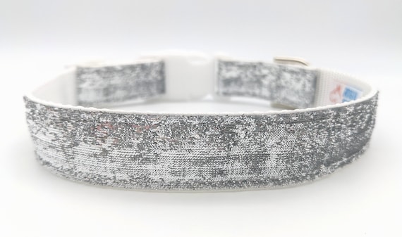 Disco dog collar hotsell