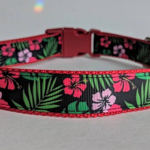 Hawaiian Shirt Dog Collar / Floral Dog Collar / Summer Dog Collar / Beach Dog Collar image 6