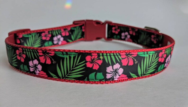 Hawaiian Shirt Dog Collar / Floral Dog Collar / Summer Dog Collar / Beach Dog Collar image 6