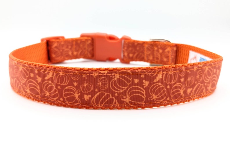 Pumpkin Patch Dog Collar / Fall Dog Collar / Halloween Dog Collar image 6