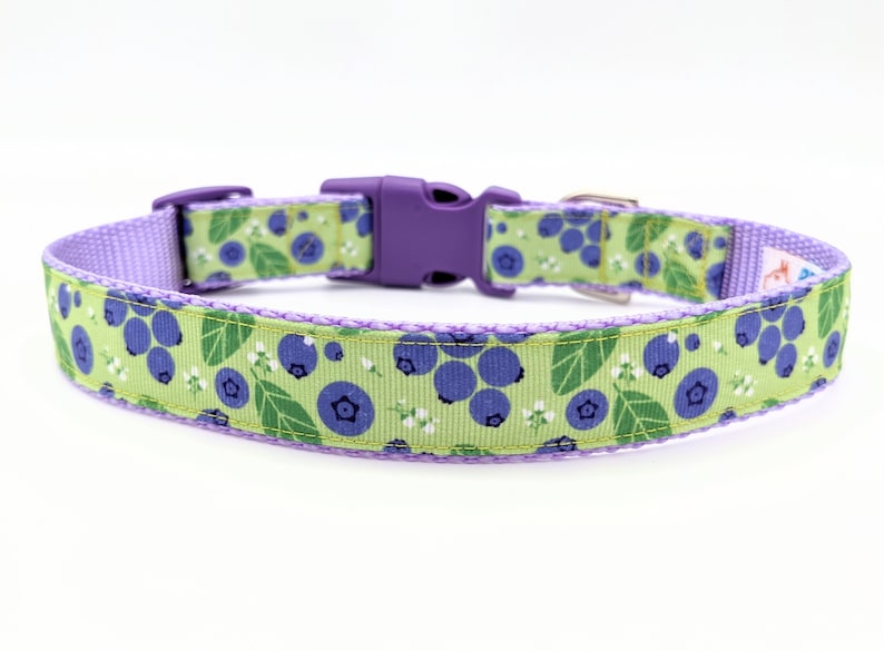 Blueberry Dog Collar / Blueberries Berry Fruit Food image 1