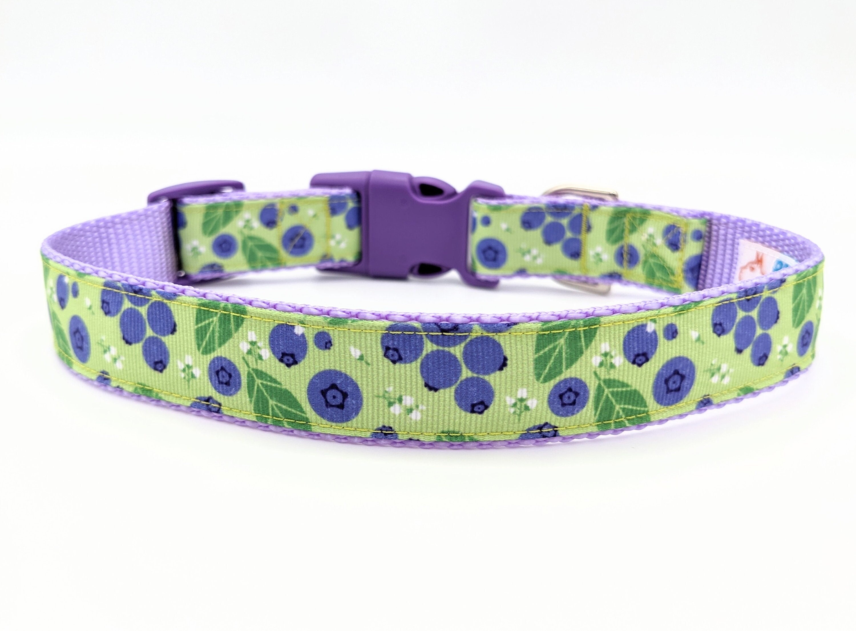 Blueberry Dog Collar Etsy