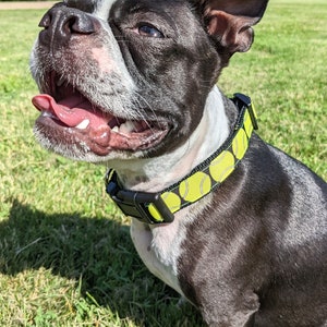 Tennis Ball Dog Collar / Yellow Tennis Ball image 3