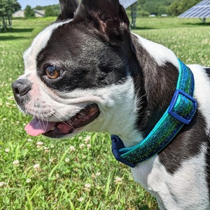 Blue Green Ombre Sparkle Dog Collar / Mermaid Sparkle Dog Collar image 7