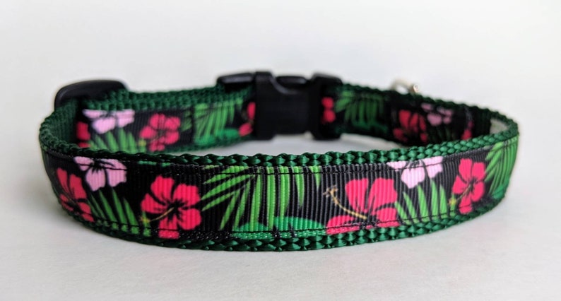 Hawaiian Shirt Dog Collar / Floral Dog Collar / Summer Dog Collar / Beach Dog Collar image 5