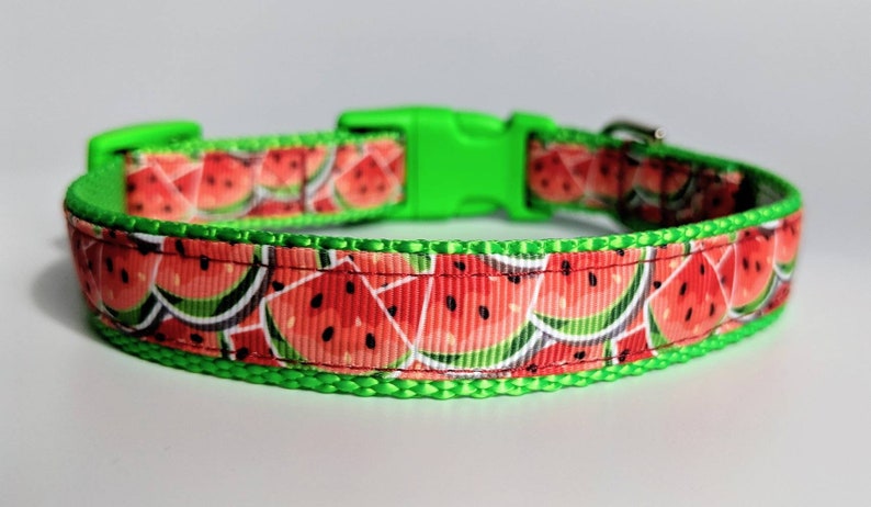 Watermelon Dog Collar / Summer Dog Collar / Food Dog Collar image 5