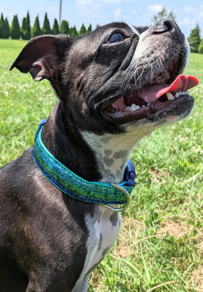 Blue Green Ombre Sparkle Dog Collar / Mermaid Sparkle Dog Collar image 3