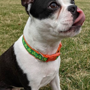 Shamrock Dog Collar / Lucky Irish Clover St. Patrick's Day Dog Collar image 8