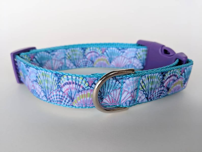 Seashells Dog Collar / Beach Dog Collar / Summer Dog Collar / Etsy