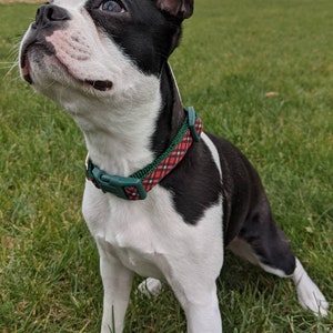 Red Black Tartan Plaid Dog Collar / Christmas Winter Dog Collar image 8