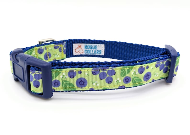 Blueberry Dog Collar / Blueberries Berry Fruit Food image 5