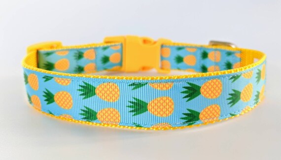 pineapple dog collar
