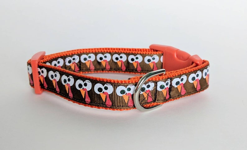 Gobbles the Turkey Dog Collar / Thanksgiving Dog Collar / Fall Dog Collar image 4