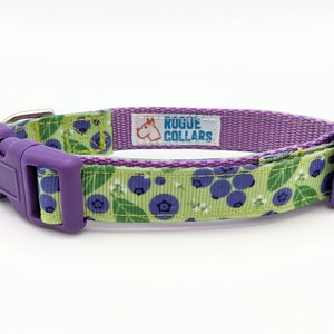 Blueberry Dog Collar / Blueberries Berry Fruit Food image 4