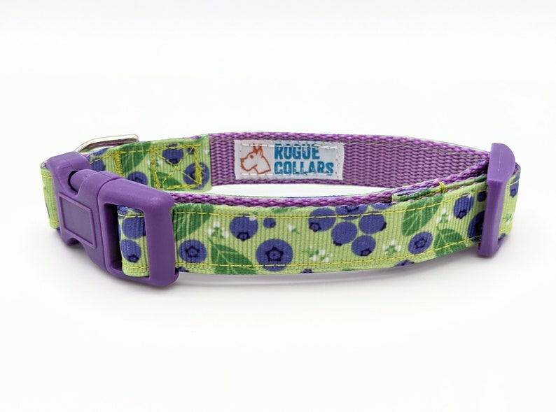 Blueberry Dog Collar / Blueberries Berry Fruit Food image 4