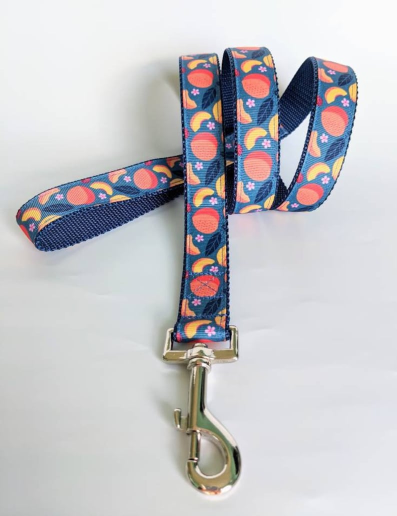 5 Foot Custom Ribbon Leash Just Peachy