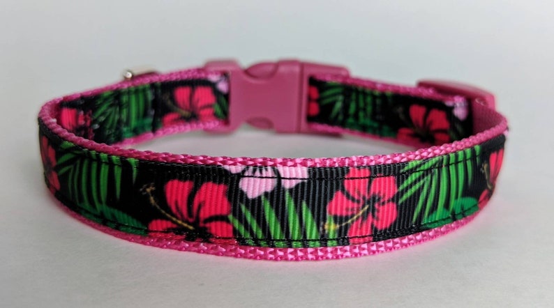 Hawaiian Shirt Dog Collar / Floral Dog Collar / Summer Dog Collar / Beach Dog Collar image 4