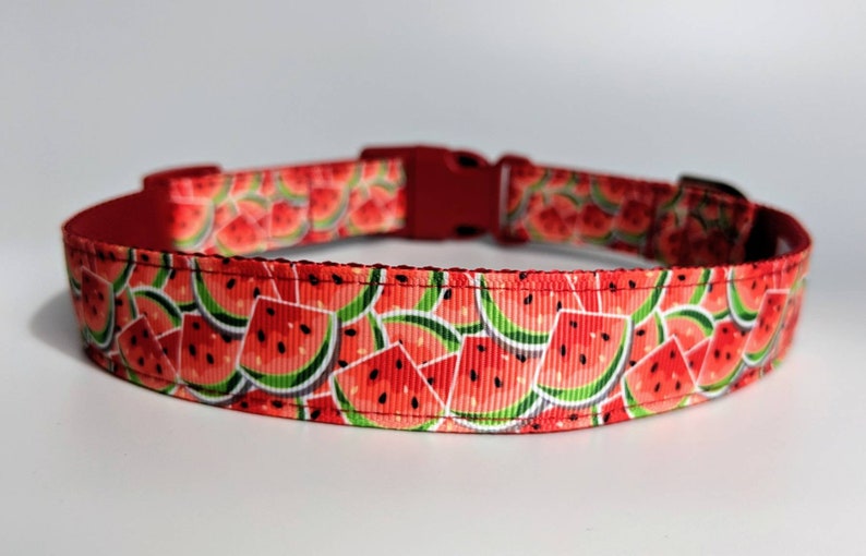 Watermelon Dog Collar / Summer Dog Collar / Food Dog Collar image 6