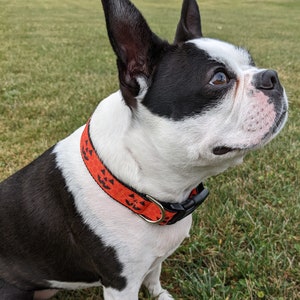 Jack O' Lantern Dog Collar / Pumpkin Dog Collar / Halloween Dog Collar image 7