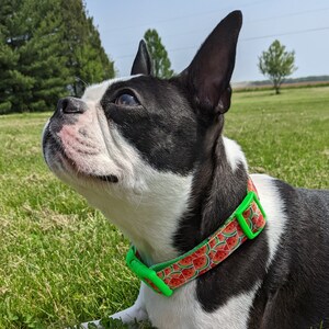 Watermelon Dog Collar / Summer Dog Collar / Food Dog Collar image 3