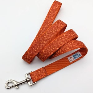 Pumpkin Patch Dog Collar / Fall Dog Collar / Halloween Dog Collar image 8