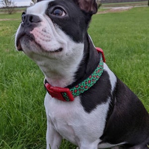 Christmas Leopard Print Dog Collar / Red Green Leopard Print / Holiday Dog Collar image 8