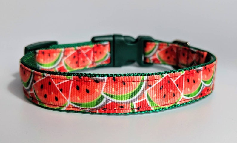 Watermelon Dog Collar / Summer Dog Collar / Food Dog Collar image 4