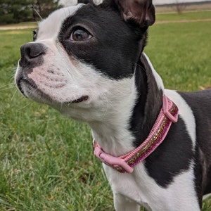 Sunset Ombre Sparkle Dog Collar / Pink Gold Ombre / Glitter Bling Dog Collar image 8