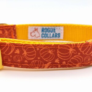 Pumpkin Patch Dog Collar / Fall Dog Collar / Halloween Dog Collar image 4