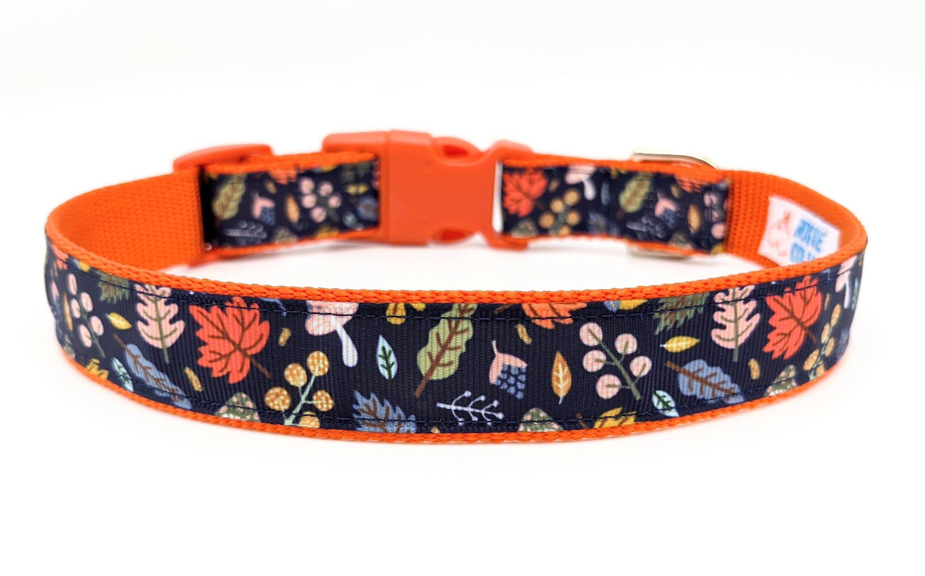Royal rogue dog clearance collars
