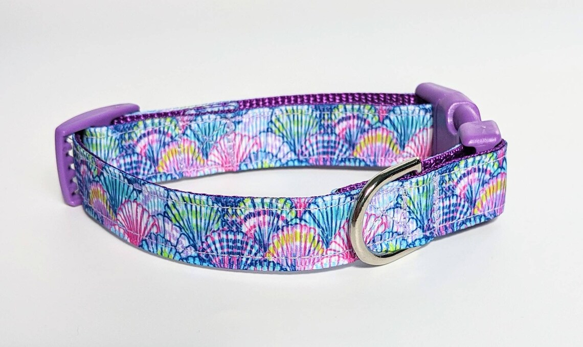 Seashells Dog Collar / Beach Dog Collar / Summer Dog Collar / Etsy
