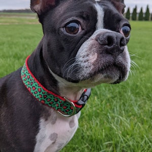 Christmas Leopard Print Dog Collar / Red Green Leopard Print / Holiday Dog Collar image 3