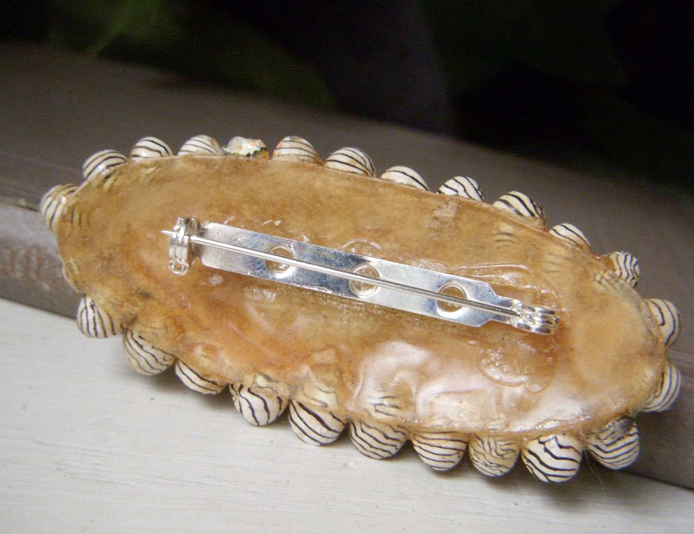 Vintage Shark Tooth and Real Shell Brooch, Floral Seashell Pin, Large ...